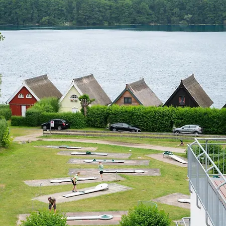 Schneeeule 225 * Granzow